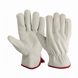 Driving Gloves (Unlined)